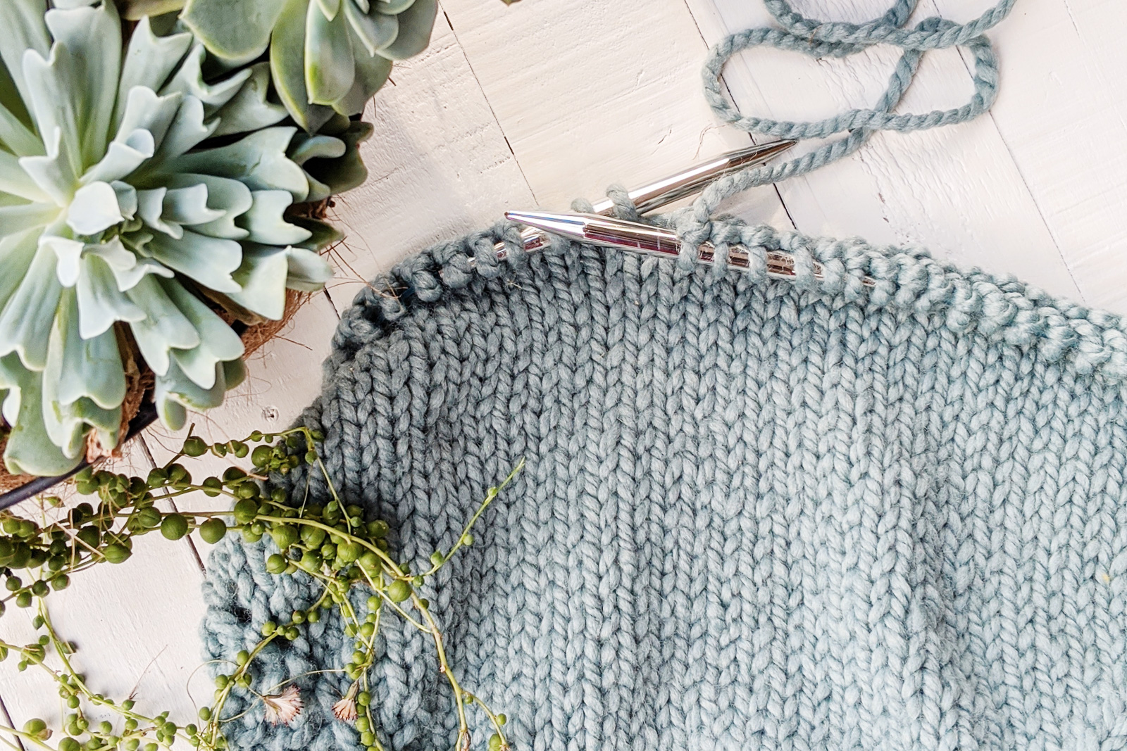 knitting stockinette stitch succulent